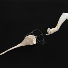 Song Jiayin