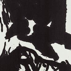 Chen Hsing- Wan