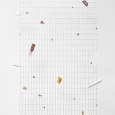Adolfo Bimer