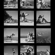 Herbert List