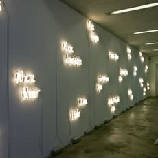Joseph Kosuth