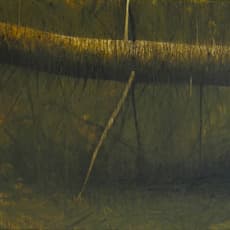 Hugo Fontela