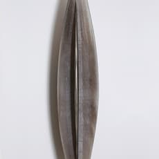 Daniel Clayman
