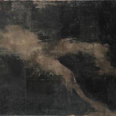 Timothy Wilson