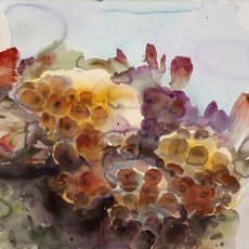 Ru Xiaofan