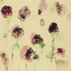 Susan Hambleton