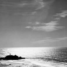 Minor White