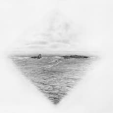 Colette Robbins