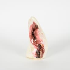 Kristin Reger