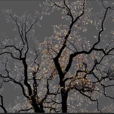 Arman (b. 1963)