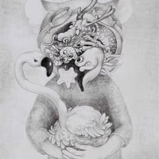 Alice Lin