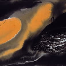 Jia Youfu