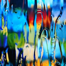 Carol Inez Charney
