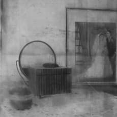 Anton Pulvirenti