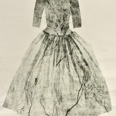 Eloïse Van der Heyden