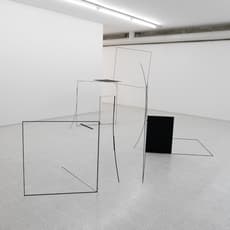 Alice Cattaneo