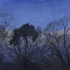 Victoria Crowe