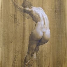 Shane Wolf