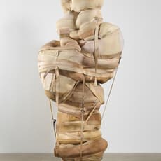 Patricia Ayres