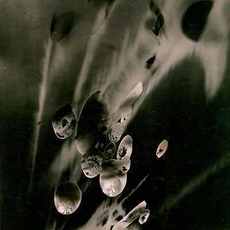 Maurice Tabard