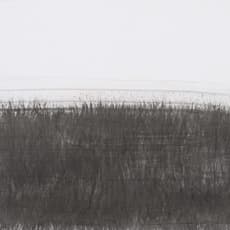 Li An-Cheng