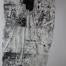Aracelly Scheper