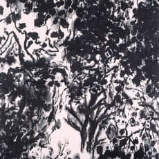 Kang Kyungkoo