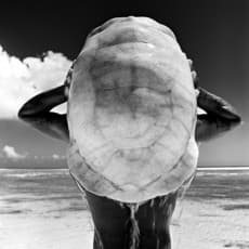 Gian Paolo Barbieri