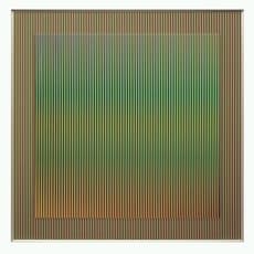 Carlos Cruz-Diez