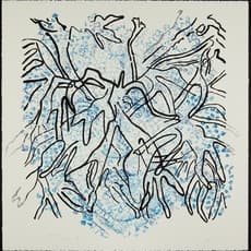 Nancy Graves