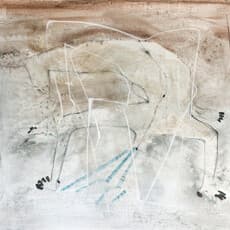 Wang Qiqi