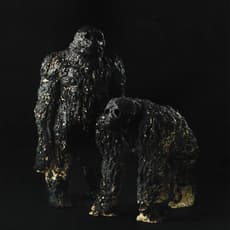 Andrea Scholze