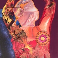 Amy Putman