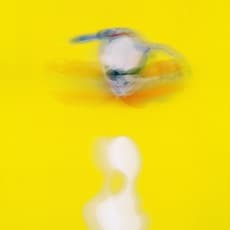 Manuel Geerinck