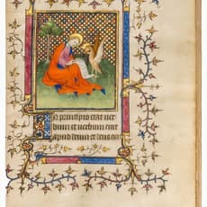 Mazarine Master