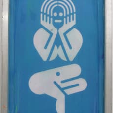 Ryan McGinness