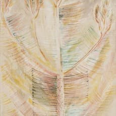 Morris Graves