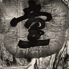 Gu Wenda