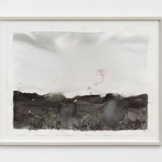 Anne Graaff