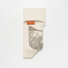 Julia Eichler