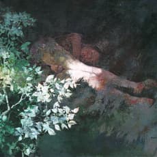 Guo Jin