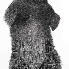 Stras Bear