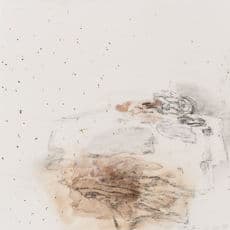 Chen Xinmao