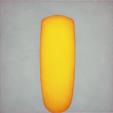 Chen Ruobing