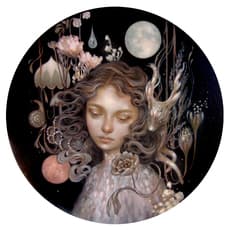 Amy Sol