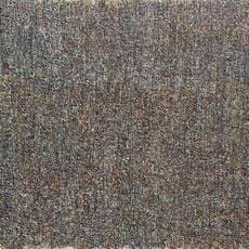 Zhu Xiao He