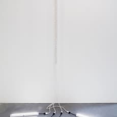 Dana Hemenway