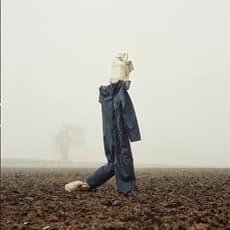 Peter Mitchell