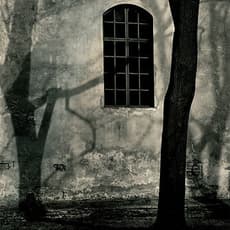 Roman Loranc