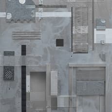 Li Tao (b. 1971)